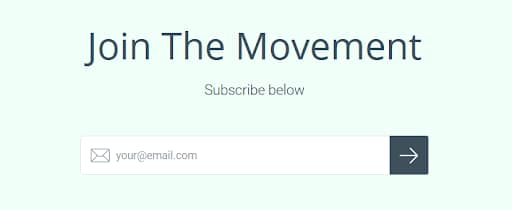 Top Shopify Stores for Inspiration in 2022 Newsletter Example | Brillmark